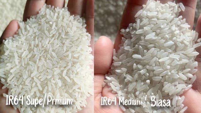 Nasi dari Beras Premium Lebih Tahan Lama, Bukan Karena Pengawet! Ini Penjelasannya