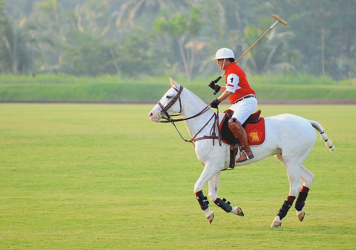 Prabowo Subianto Didik Anak Petani Jadi Atlet Polo Sport Go Internasional