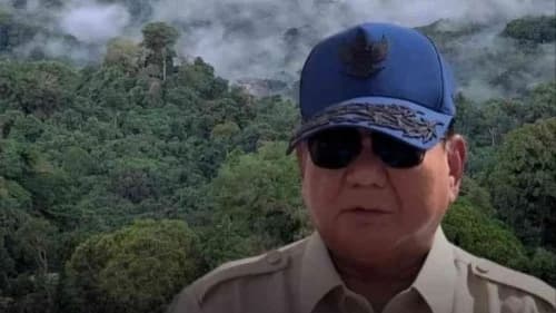 Presiden Prabowo bersih-bersih mafia hutan