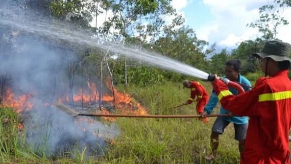 petugas sedang berusaha memadamkan api karhutla dok source y nlo1 cropped