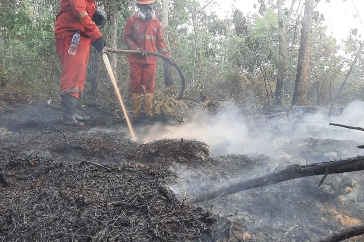 Petugas Badan Penanggulangan Bencana berusaha mematikan kobaran api kebakaran hutan dan lahan (karhutla) di wilayah Kalimantan